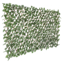 IVY Single Side