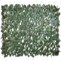 Ivy Single Side
