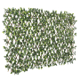 FICUS LEAVES