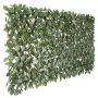 IVY Double Side