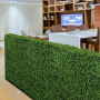 Boxwood